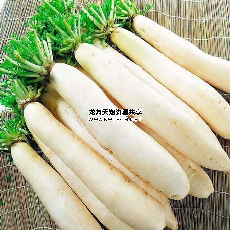 天寒多吃根茎类食物